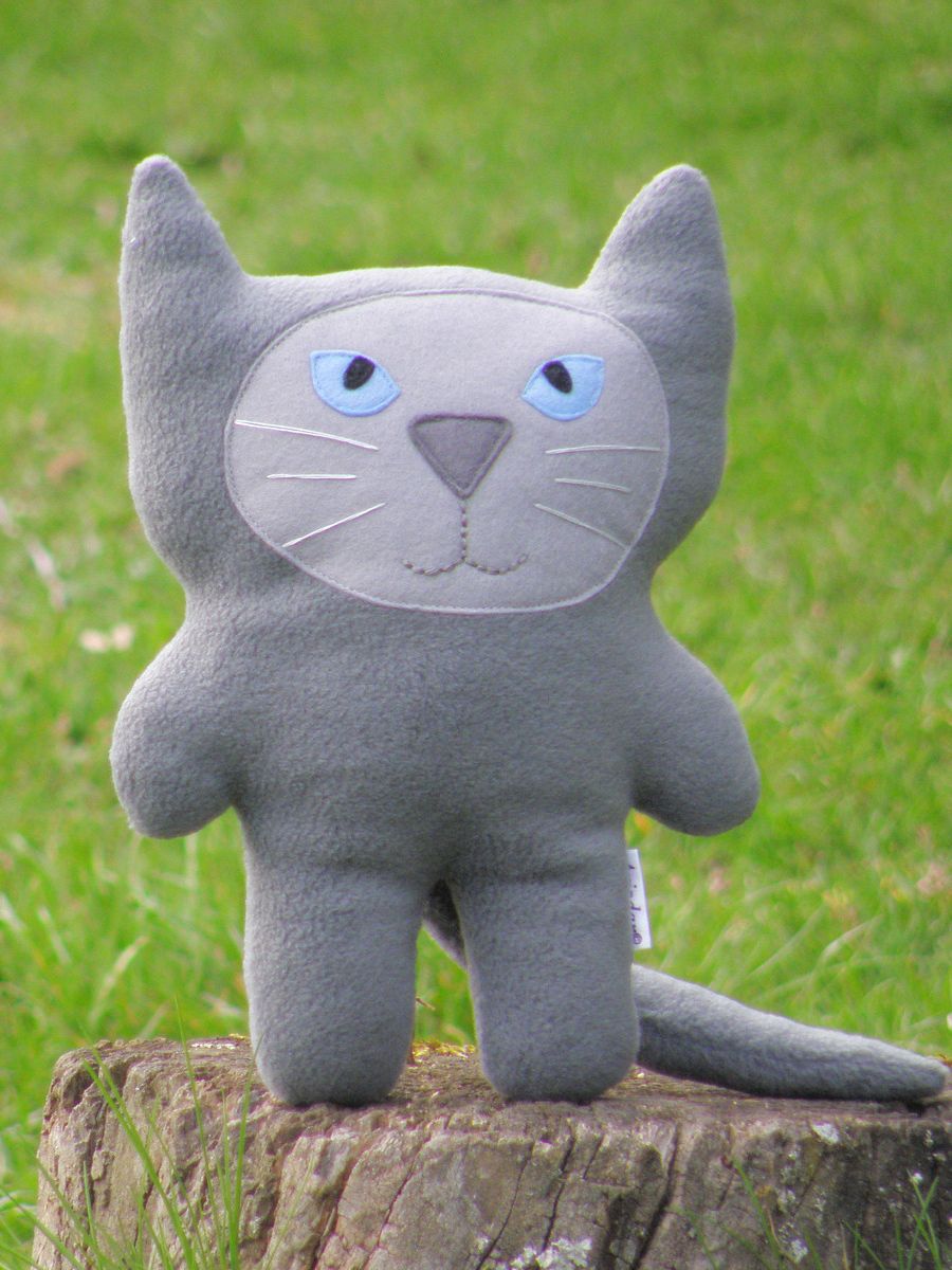 Kočička šedivka modroočko